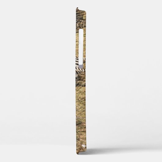 Zebra iPhone 12 Hoesje van Grant (Achterkant / Links)