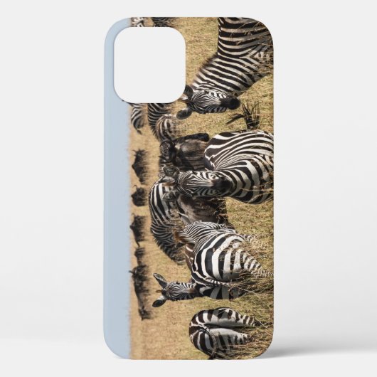 Zebra iPhone 12 Hoesje van Grant (Achterkant)