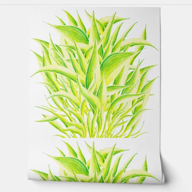 Zebra Iris op een  Behang (Afrollen)