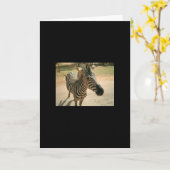Zebra Kaart (Gele Bloem)