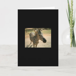 Zebra Kaart