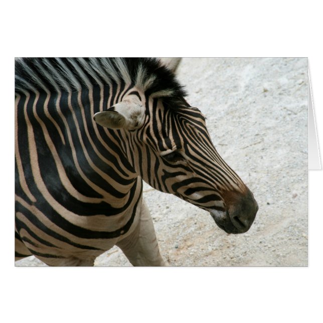 Zebra Kaart (Voorkant Horizontaal)