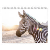 Zebra Kalender (Hoes)