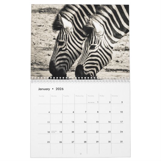 Zebra Kalender (Jan 2026)