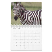 Zebra Kalender (Mar 2026)