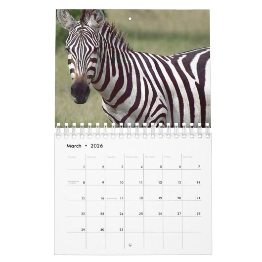 Zebra Kalender (Mar 2026)