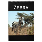 zebra kalender (Hoes)