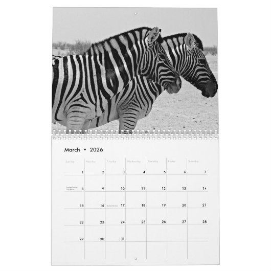 Zebra Kalender 2025 (Mar 2026)