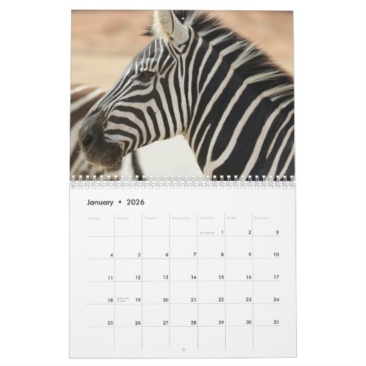 Zebra Kalender 2025 (Jan 2026)