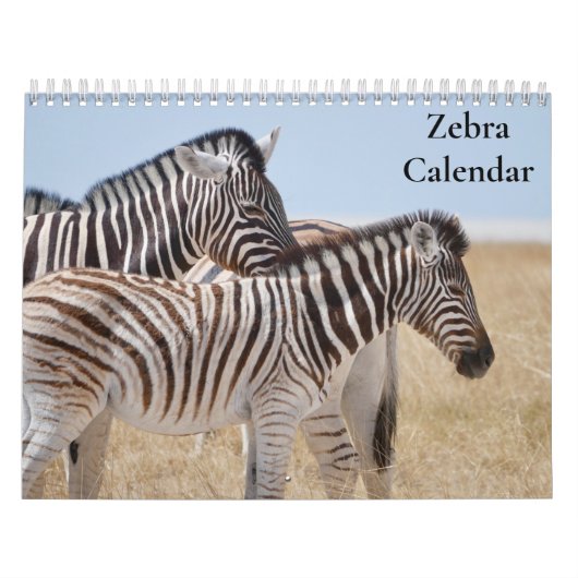 Zebra Kalender 2027 (Hoes)