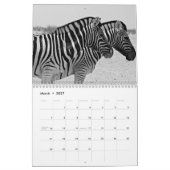 Zebra Kalender 2027 (Mar 2027)