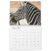 Zebra Kalender 2027 (Jan 2027)