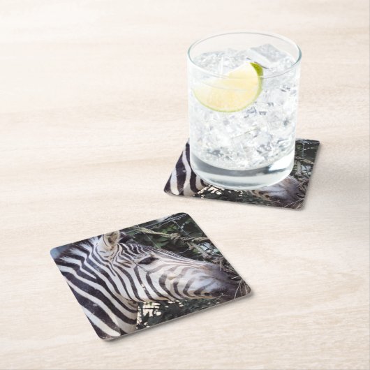 Zebra Kartonnen Onderzetters (Insitu)