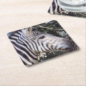 Zebra Kartonnen Onderzetters (Schuin)