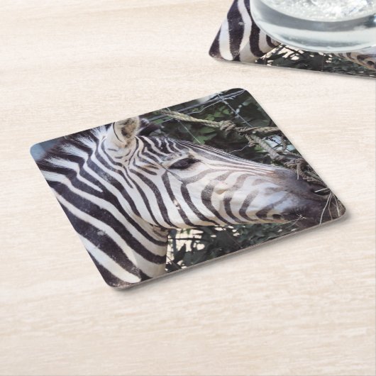 Zebra Kartonnen Onderzetters (Schuin)