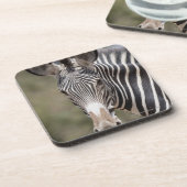 Zebra, Kenia, Afrika Drankjes Onderzetter (Linkerzijde)