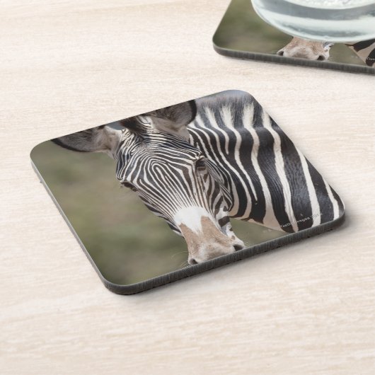 Zebra, Kenia, Afrika Drankjes Onderzetter (Linkerzijde)