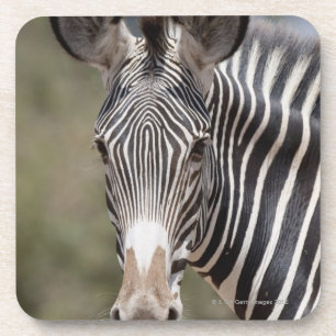 Zebra, Kenia, Afrika Drankjes Onderzetter