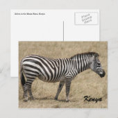 zebra kenya briefkaart (Voorkant / Achterkant)