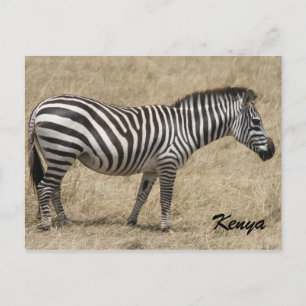 zebra kenya briefkaart