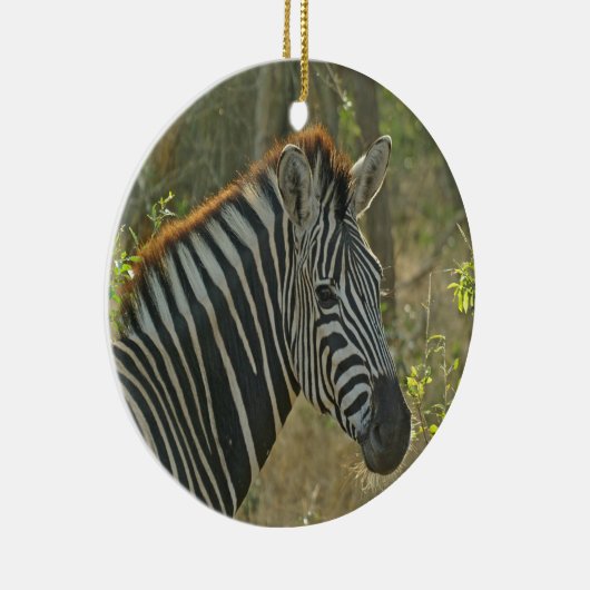 Zebra Keramisch Ornament (Rechts)