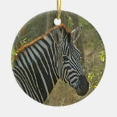 Zebra Keramisch Ornament (Voorkant)