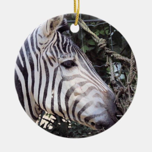 Zebra Keramisch Ornament (Voorkant)