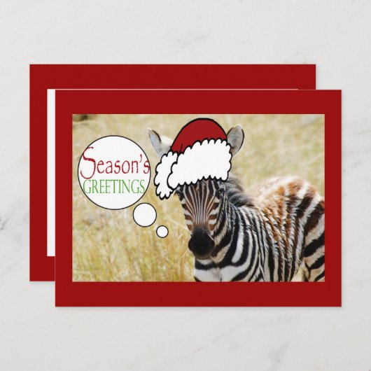 Zebra Kerstdagen Groeten Feestdagenkaart (Voorkant / Achterkant)