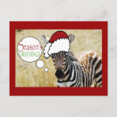Zebra Kerstdagen Groeten Feestdagenkaart (Voorkant)