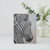 Zebra Kijk naar het Briefkaart van de Wildlife Art (Staand voorkant)