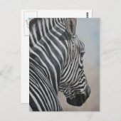 Zebra Kijk naar het Briefkaart van de Wildlife Art (Voorkant / Achterkant)
