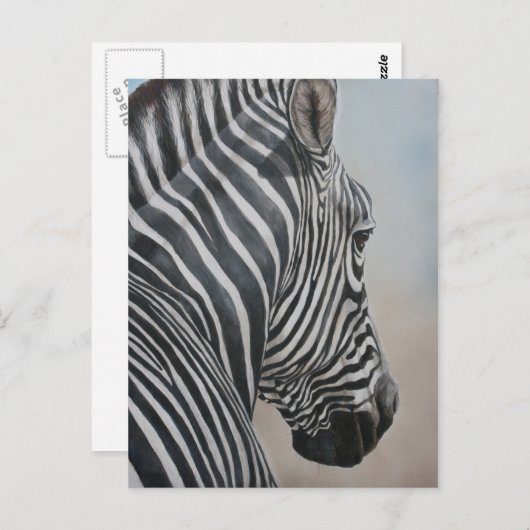 Zebra Kijk naar het Briefkaart van de Wildlife Art (Voorkant / Achterkant)