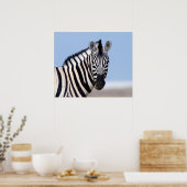 Zebra kijkt naar je met blauwe hemelfoto poster (Keuken)