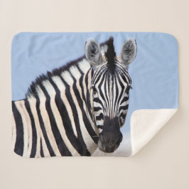 Zebra kijkt naar je met blauwe hemelfoto sherpa deken