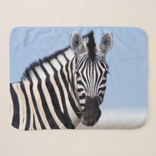 Zebra kijkt naar je met blauwe hemelfoto sherpa deken