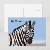 Zebra kijkt naar je met blauwe hemelfototekst briefkaart (Voorkant / Achterkant)