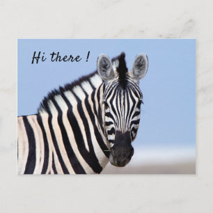Zebra kijkt naar je met blauwe hemelfototekst briefkaart