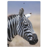 Zebra Klembord (Achterkant)