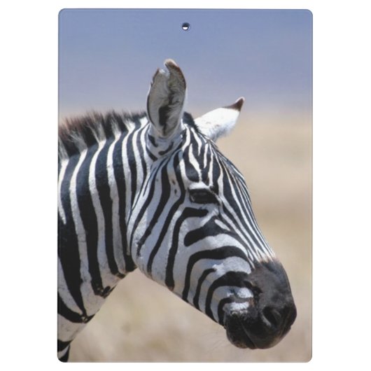 Zebra Klembord (Achterkant)
