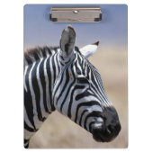 Zebra Klembord (Voorkant)