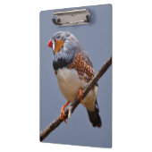 Zebra klembord (Links)