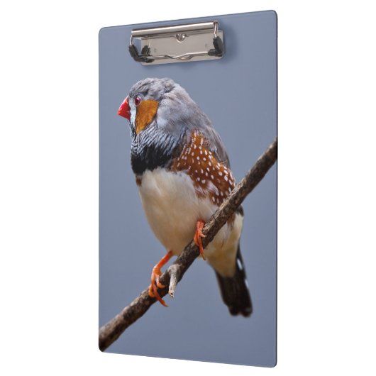 Zebra klembord (Links)