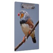 Zebra klembord (Rechts)