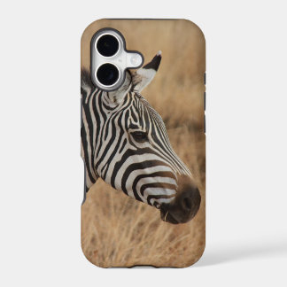Zebra Kop