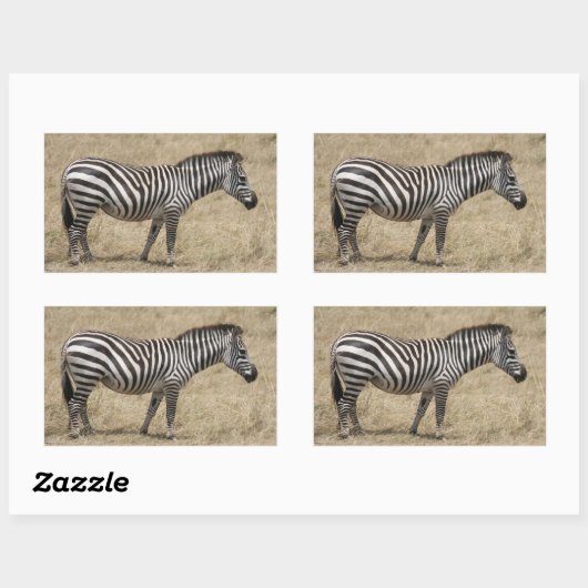 zebra kort rechthoekige sticker (Vel)