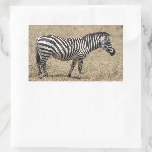 zebra kort rechthoekige sticker (Tas)