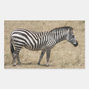 zebra kort rechthoekige sticker