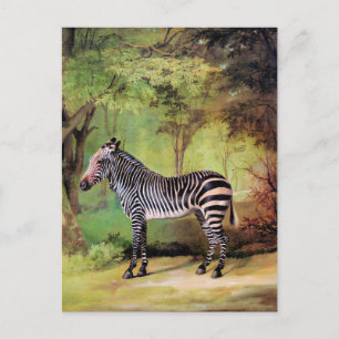 Zebra, kunstwerk van George Stubbs, Briefkaart