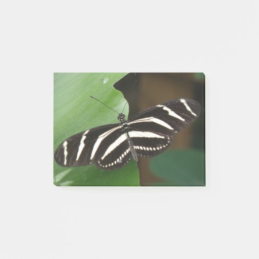 Zebra langwerpige vlinder Post-it® Notes (Voorkant)