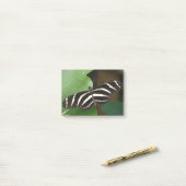 Zebra langwerpige vlinder Post-it® Notes (Op bureau)
